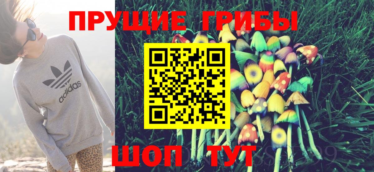 Псилоцибиновые грибы Magic Shrooms  Вход с VPN  Кохма 